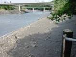 "Le Rhône Genevois " Chasse_rhone_2003_01-2