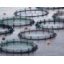 L'aquaculture produit la moitié des poissons consommés dans le monde