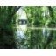 La meilleure des eaux potables vient des forêts