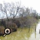 photo : Entre étangs et marais