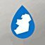 L'Irlande renonce à sa taxe très controversée sur l'eau