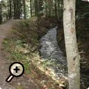 photo : Bisse d’Ayent