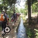 photo : Chemin faisant