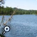 photo : Étang de la Gruère