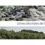 Zone alluviales, méconnues et pourtant si proches !