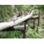 “Auals” grisons et “rus” valdotains 