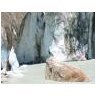 En 2007, les glaciers suisses ont continué de fondre