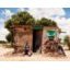 La longue lutte des Bochimans du Kalahari pour retrouver leurs puits traditionnels
