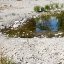 Impacts du changement climatique : retour sur la canicule 2018