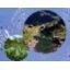 Quel avenir pour les services publics d'eau potable ?