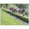 Chemin de randonnée vers le Musée des Bisses, d'Anzère à Botyre