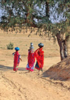  <p>(Photo OMS/UNESCO extraite du rapport)</p>