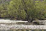  <p>Photo Zuber, Pro Natura</p>