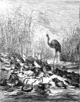  <p><small>Les grenouilles qui<br class='manualbr' />demandent un roi<br class='manualbr' /><i>(Dessin de Gustave Doré)</i><br class='manualbr' />Source : <a href="http://gallica.bnf.fr/ark:/12148/btv1b2200114q/f107" class="spip_out" rel="external"><strong>gallica.bnf.fr</strong></a></small></p>