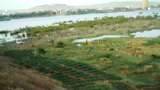  <p>Agriculteur ghanéen puisant de l'eau d'irrigation dans un collecteur d'eaux usées (photo IWMI)</p>