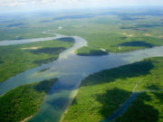  <p>L'Amazone, en surface<br class='manualbr' />(©Urbanhearts-Fotolia.com)</p>