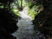  <p>Canaux de terre, revivifiés...</p>