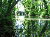  <p>La Versoix © aqueduc.info</p>