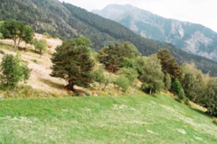  <p>Surfaces irriguées et<br class='autobr' />
non irriguées<br class='manualbr' />du côté d'Ausserberg, en Valais<br class='manualbr' />(Photo : Karina Liechti)</p>