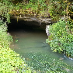 <p><small>Résurgence d'eaux souterraines<br class='manualbr' />Grottes de Milandre (Jura) <small><i>(aqueduc.info)</i></small></small></p>