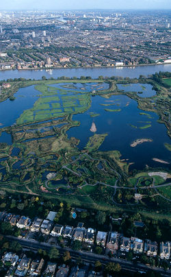 <p><small>The London Wetland Centre<br class='manualbr' /><i>(photo WWT/Ramsar)</i><br class='manualbr' />Voir l'article <i>aqueduc.info</i> :<br class='manualbr' /><a href='http://www.aqueduc.info/Les-zones-humides-urbaines-sont-vitales' class="spip_in">Les zones humides urbaines<br class='manualbr' />sont vitales</a></small></p>