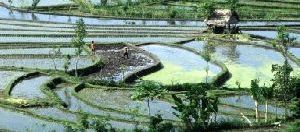  <p>Photo EcoPort-Faidotti</p>