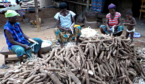  <p><small>Dame Djèto (avec l'enfant) et ses compagnes<br class='manualbr' />en plein travaux d'épluchage du manioc</small></p>