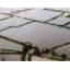 La FAO appelle les pays à mieux tenir leur comptabilité de l'eau