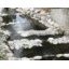 Renaturation des eaux : les cantons suisses ont quatre ans pour planifier leurs travaux