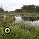 photo : Losiny Ostrov