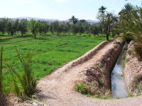  <p>Système d'irrigation au Maroc<br class='manualbr' />© B.Chavin - Fotolia.com</p>