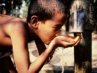  <p>Enfant du Bangla Desh © Photo FAO, J.Holmes</p>