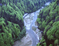  <p>(photo © Michel Roggo / roggo.ch)</p>