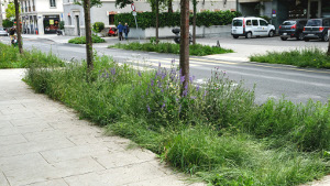  <p><small>Rue de St-Jean en ville de Genève</small></p>