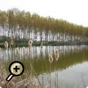 photo : Du côté de Sandrans