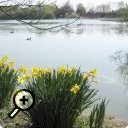 photo : Villars-les-Dombes (1)