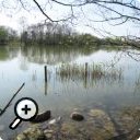 photo : Villars-les-Dombes (2)