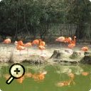 photo : Parc des Oiseaux
