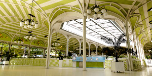  <p><small>Vichy, Source Célestin <i>(fotolia)</i></small></p>